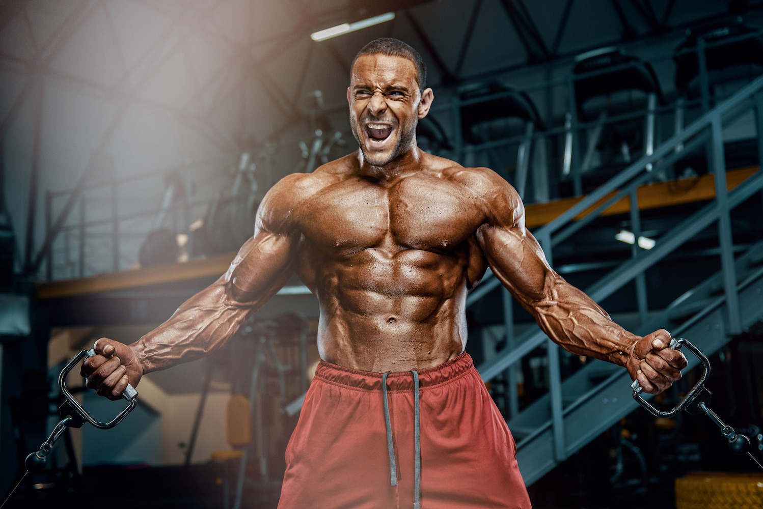 What-Are-The-Best-Training-Splits-for-Building-Muscle.jpg